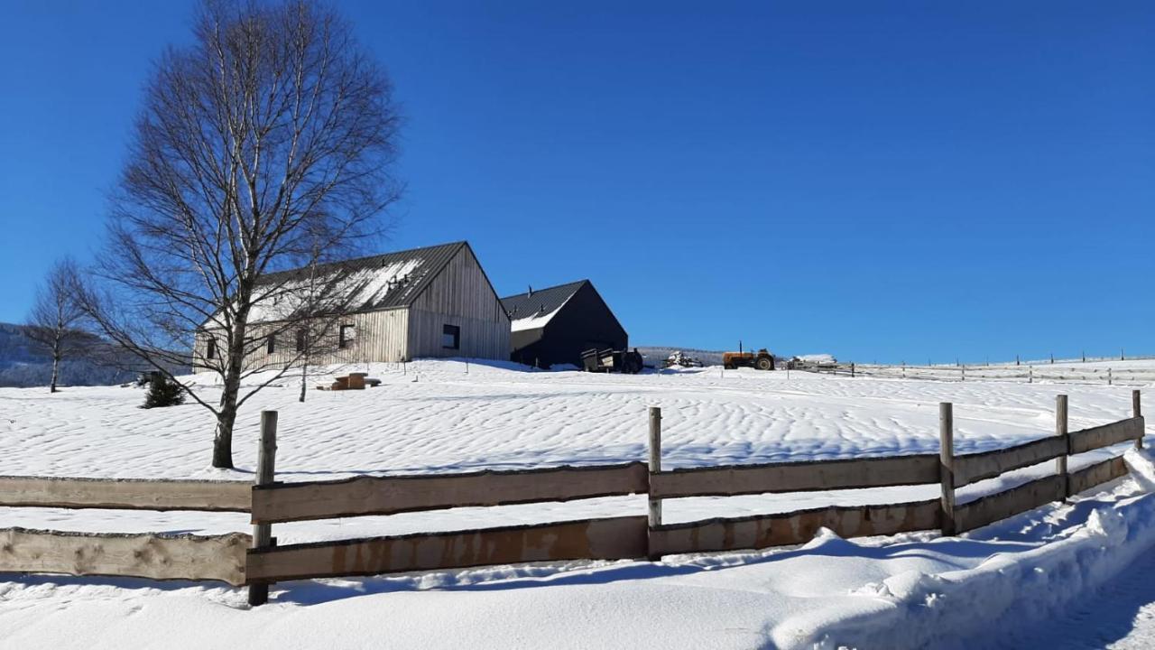 Wzgorze Owiec Sheep Hill Mostowice Exteriör bild